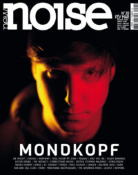 New Noise #20 (Mondkopf)
